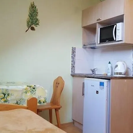 Alpina - Przy Wyciagach * Krynica-Zdrój