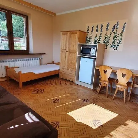 Alpina - Przy Wyciagach Appartement Krynica-Zdrój