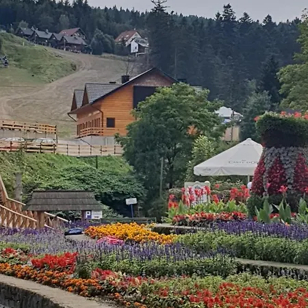 Alpina - Przy Wyciagach * Krynica-Zdrój