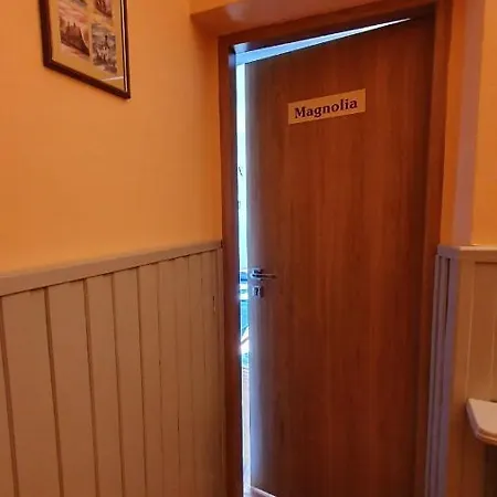 Alpina - Przy Wyciagach Apartment Krynica Zdroj